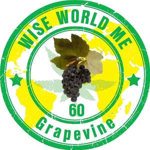 Wise World Grapevine — vrednost 60